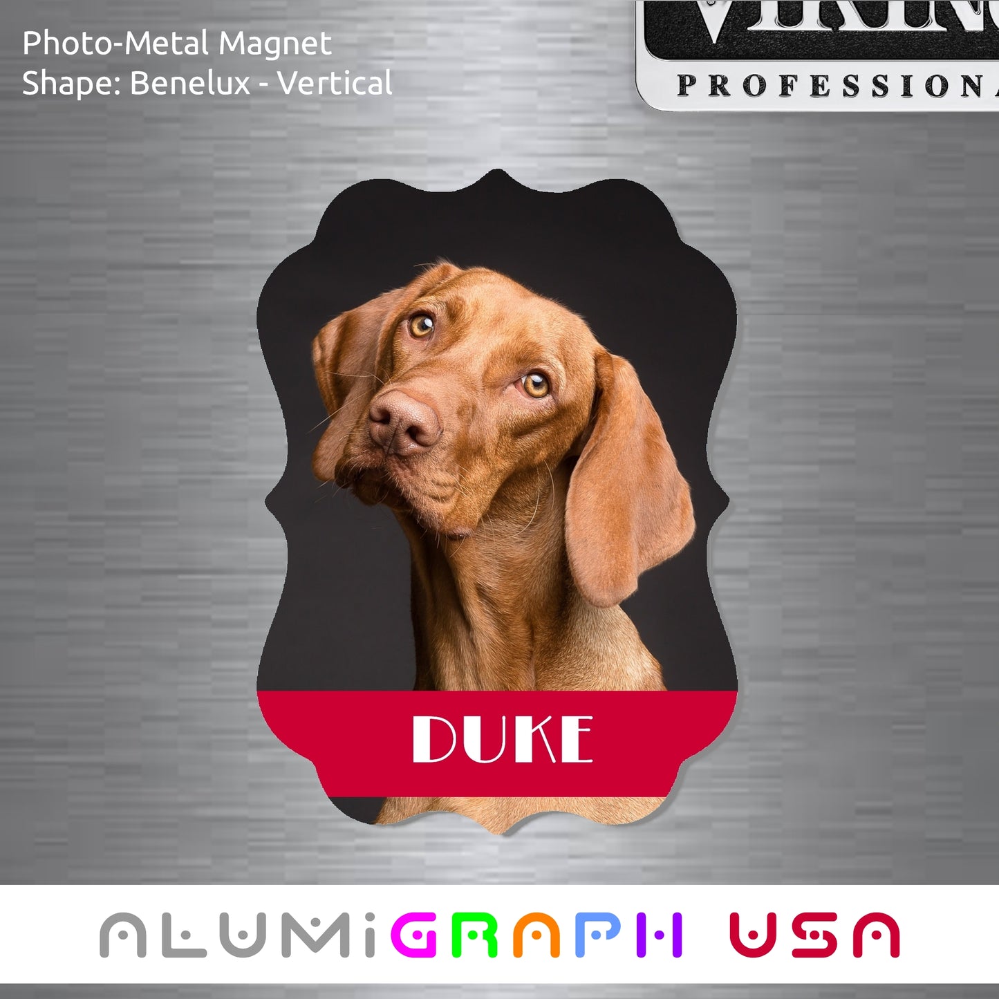 Benelux - Vertical Photo-Metal Magnet