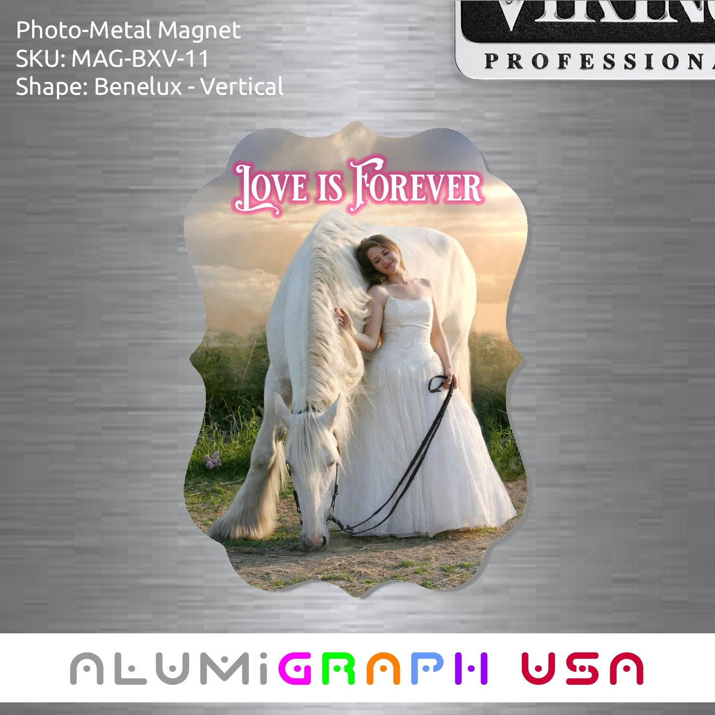 Benelux - Vertical Photo-Metal Magnet