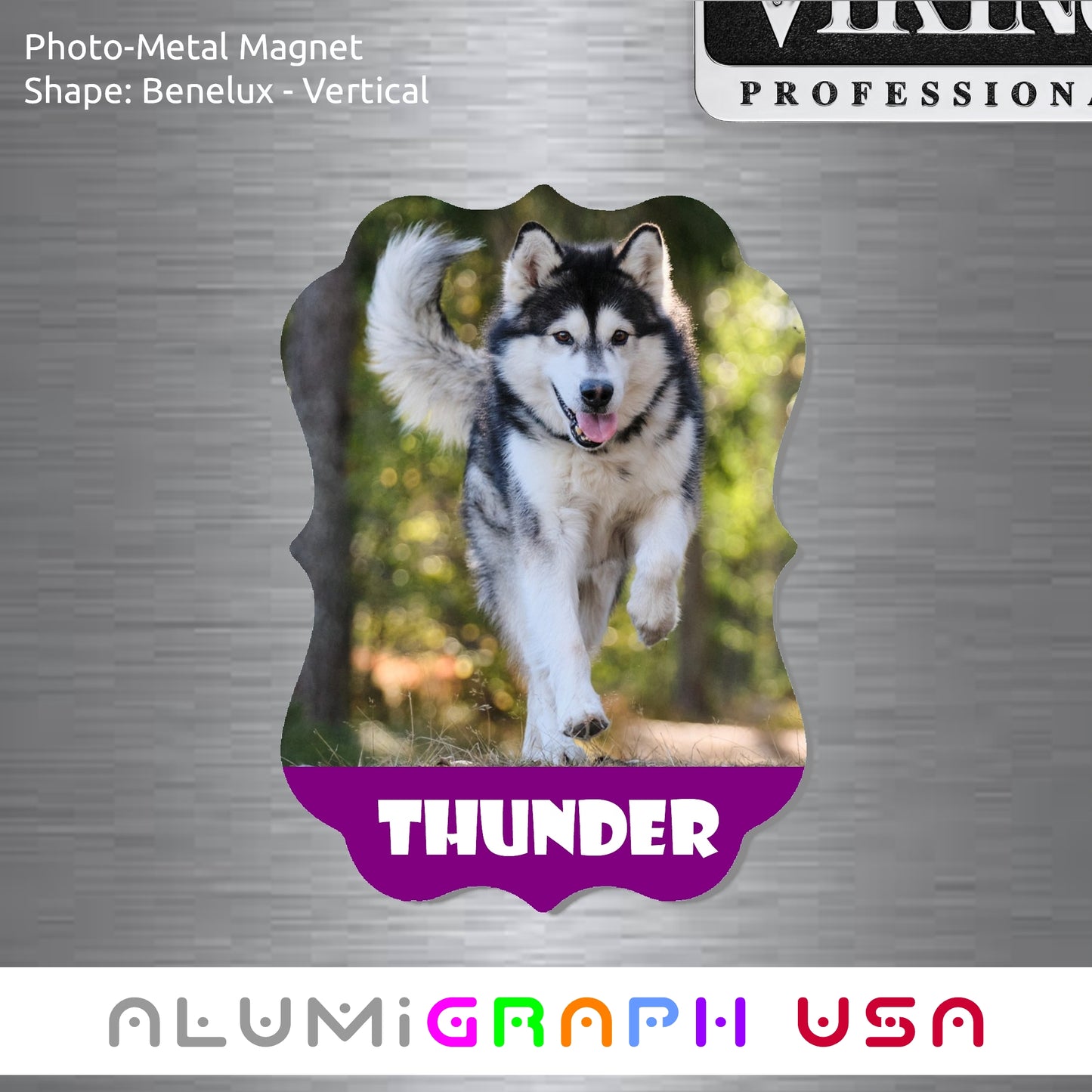 Benelux - Vertical Photo-Metal Magnet