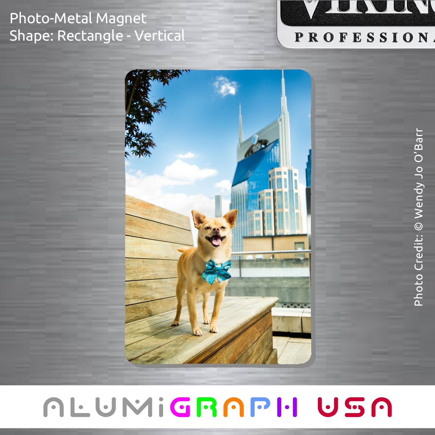Rectangle - Vertical Photo-Metal Magnet