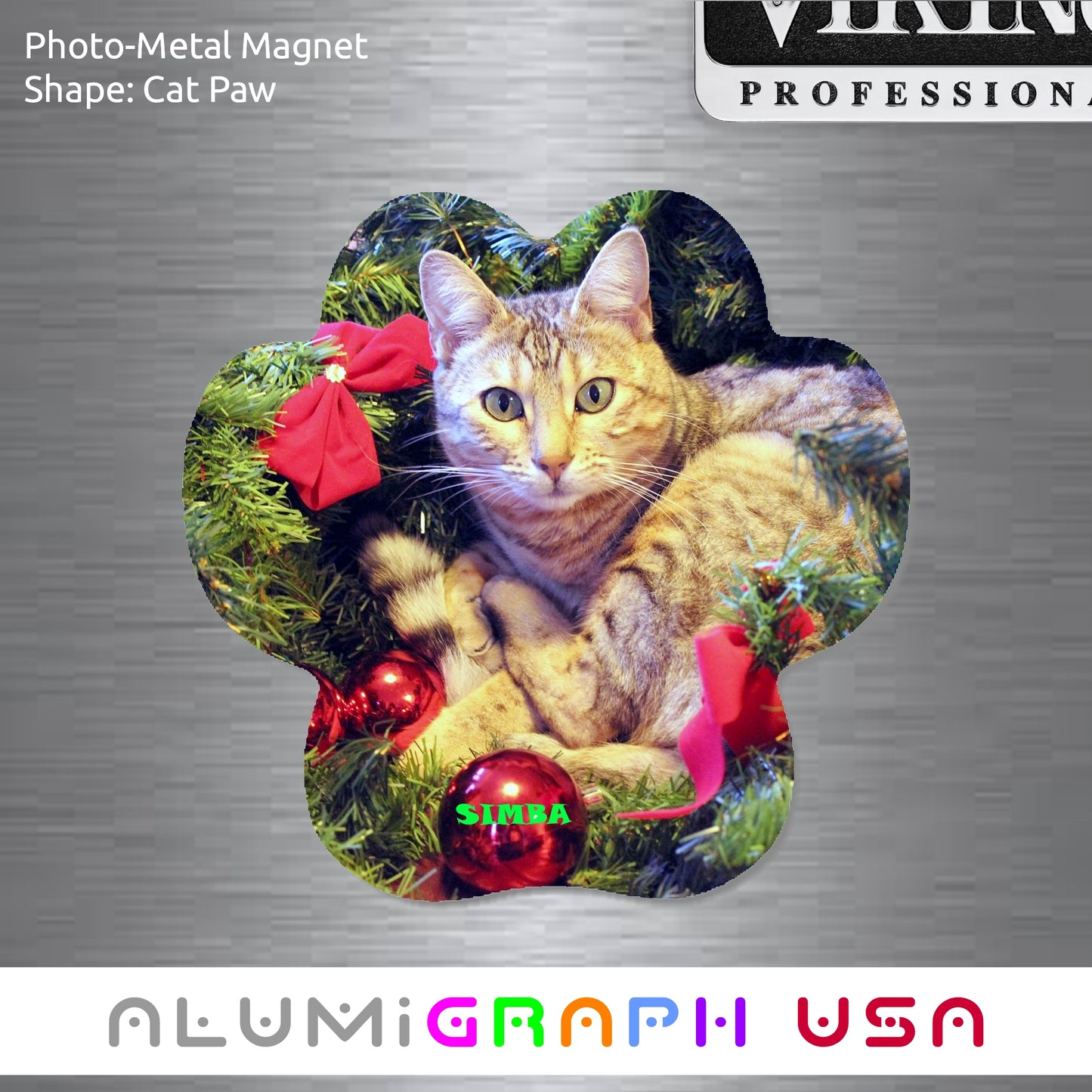 Cat Paw Photo-Metal Magnet