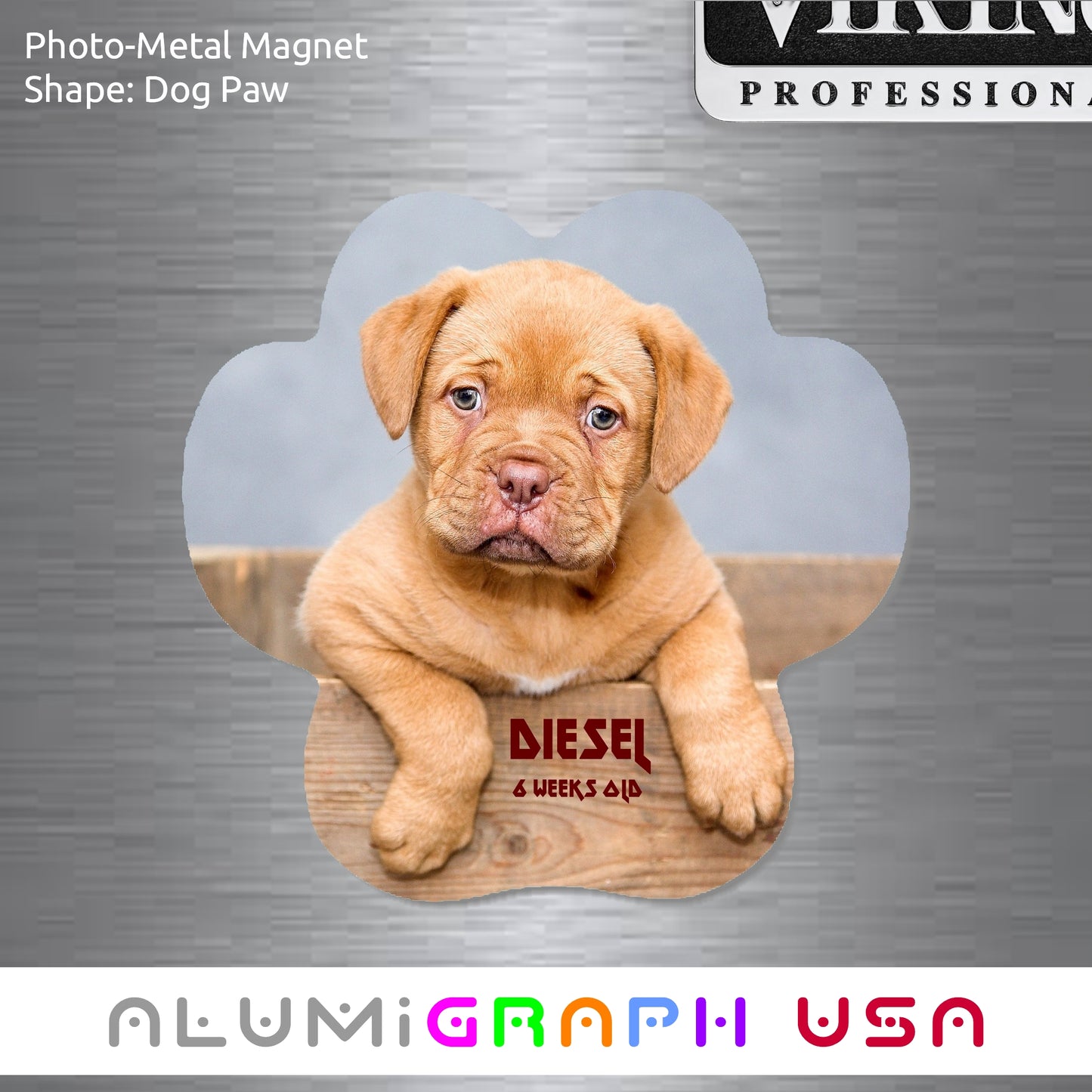 Dog Paw Photo-Metal Magnet