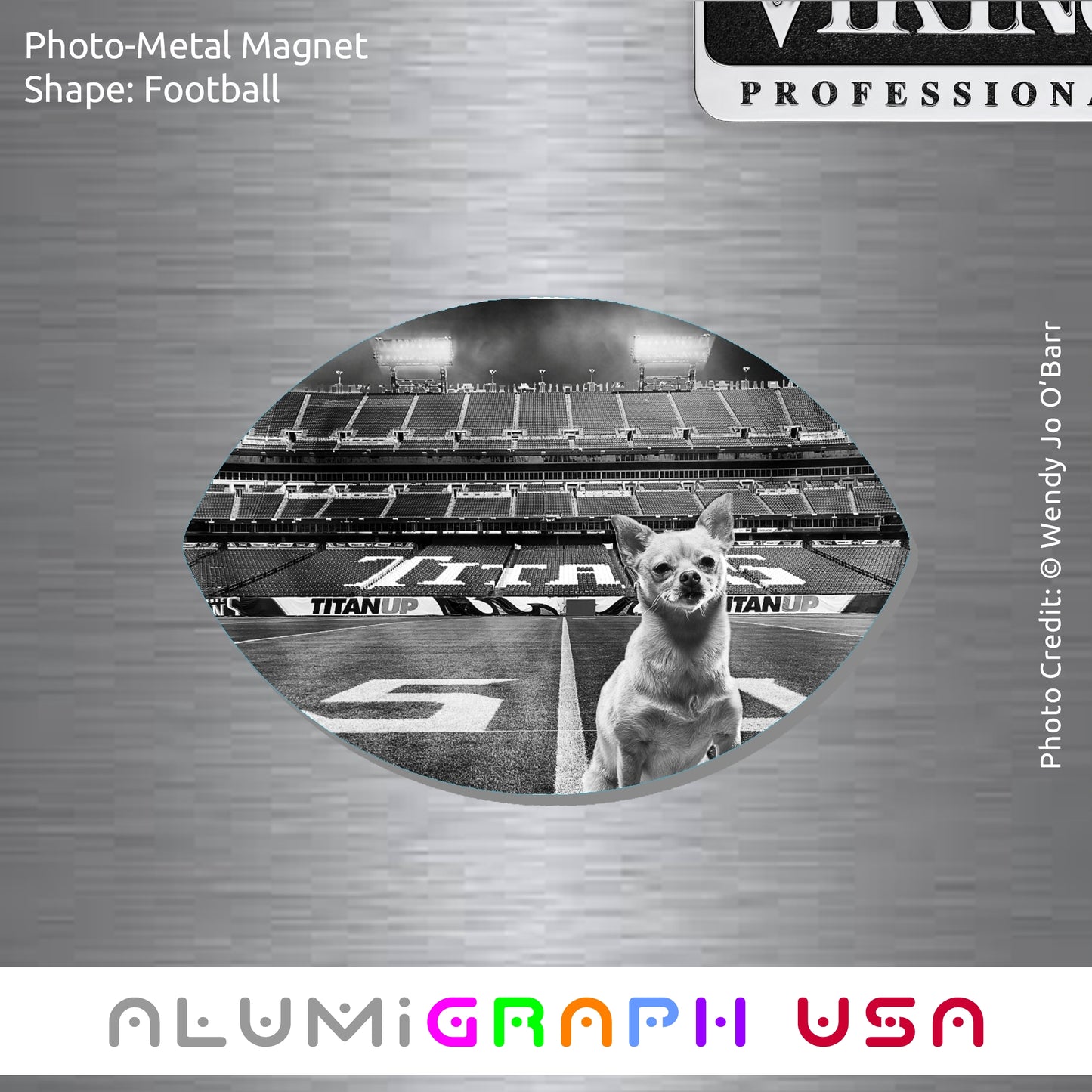 Football Photo-Metal Magnet
