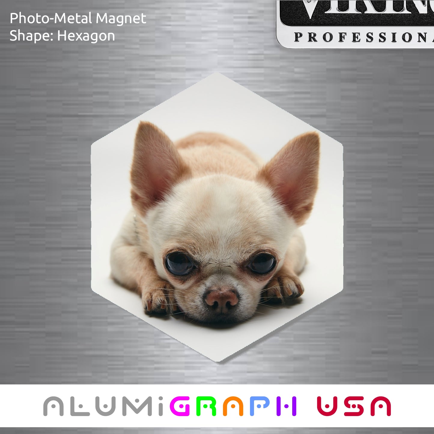 Hexagon Photo-Metal Magnet