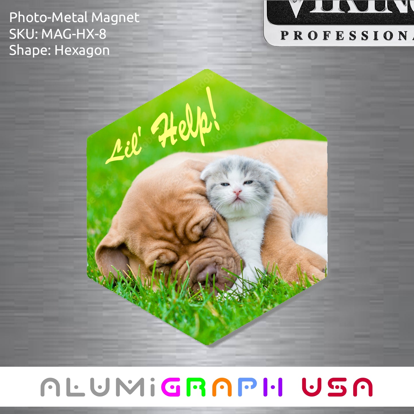 Hexagon Photo-Metal Magnet