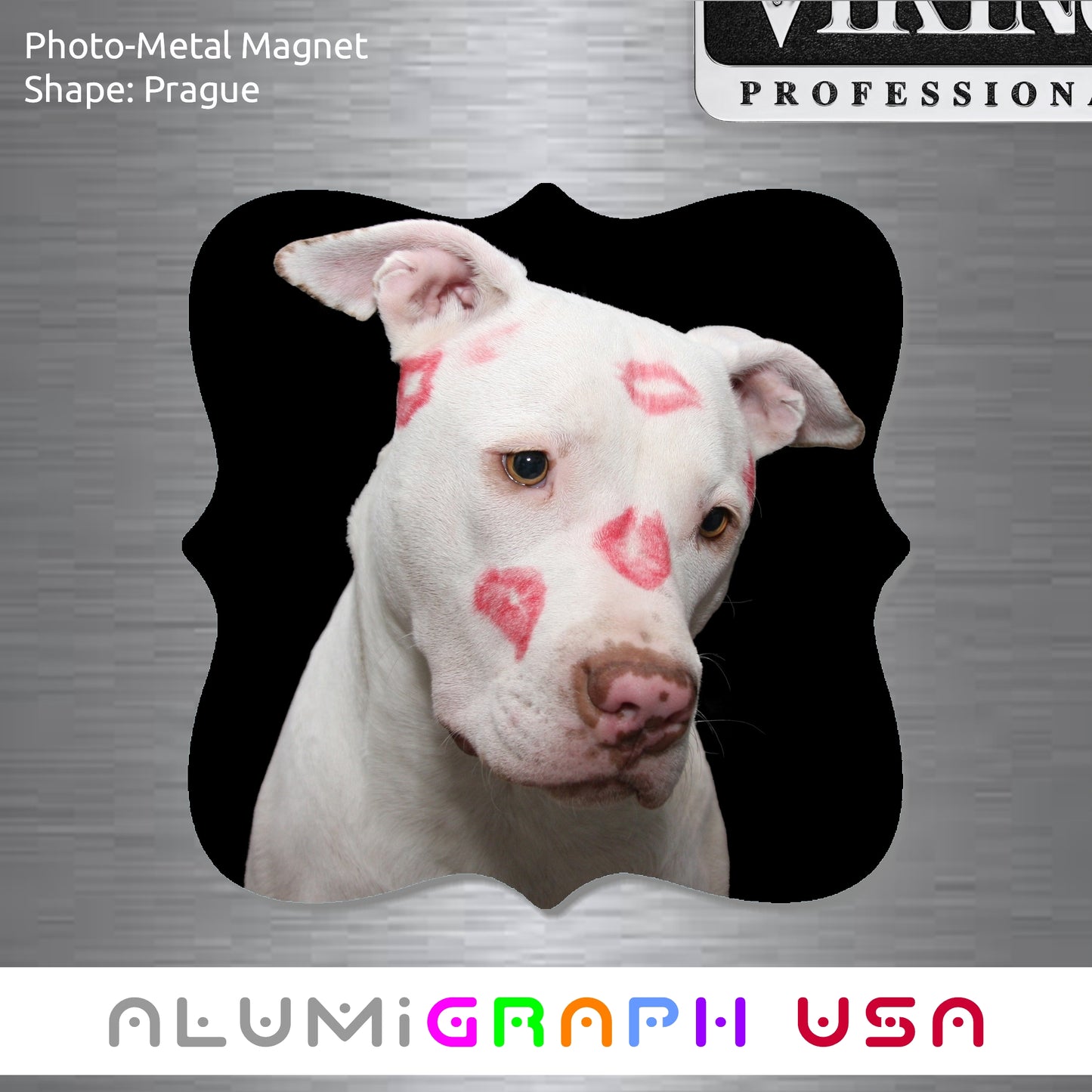 Prague Photo-Metal Magnet