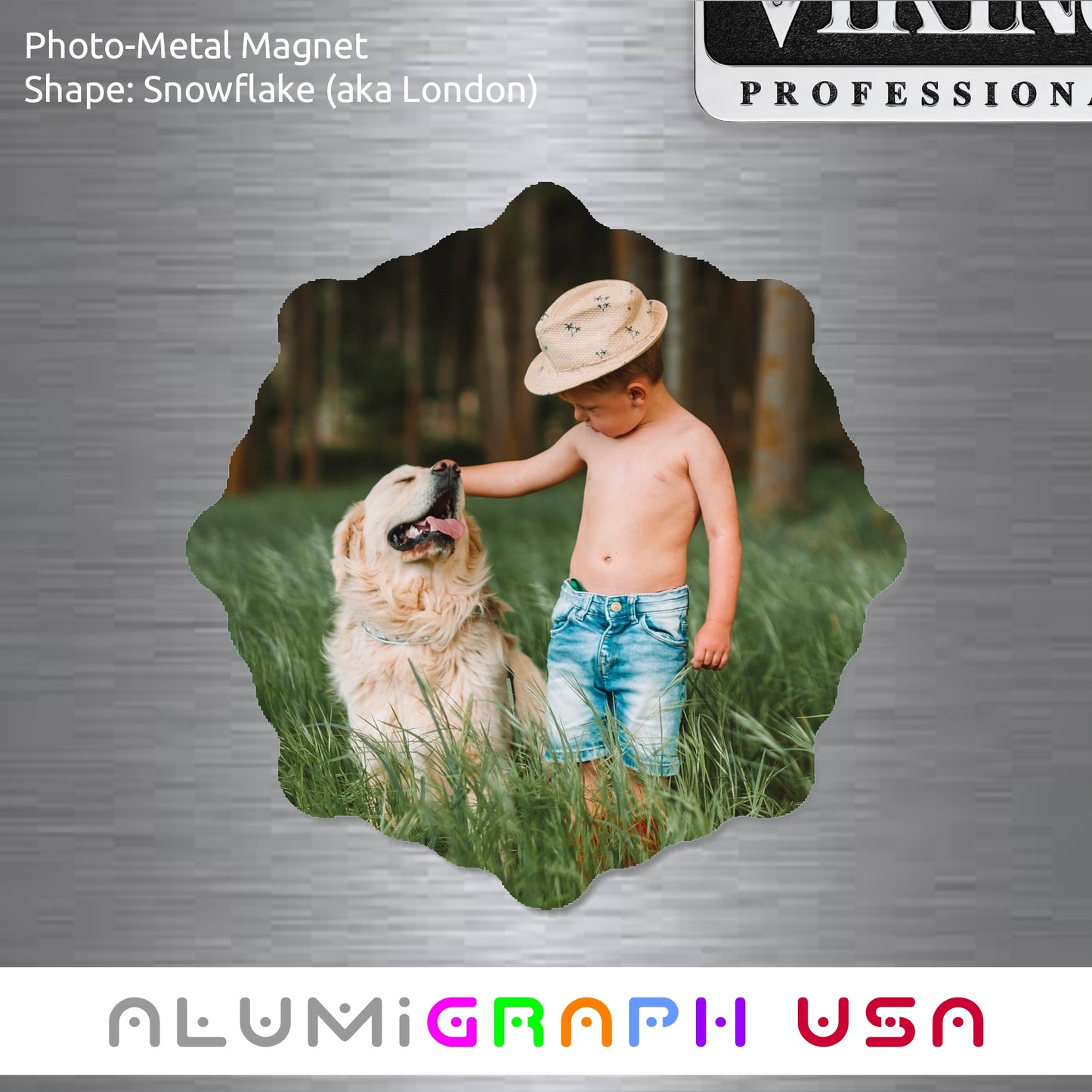 Snowflake Photo-Metal Magnet