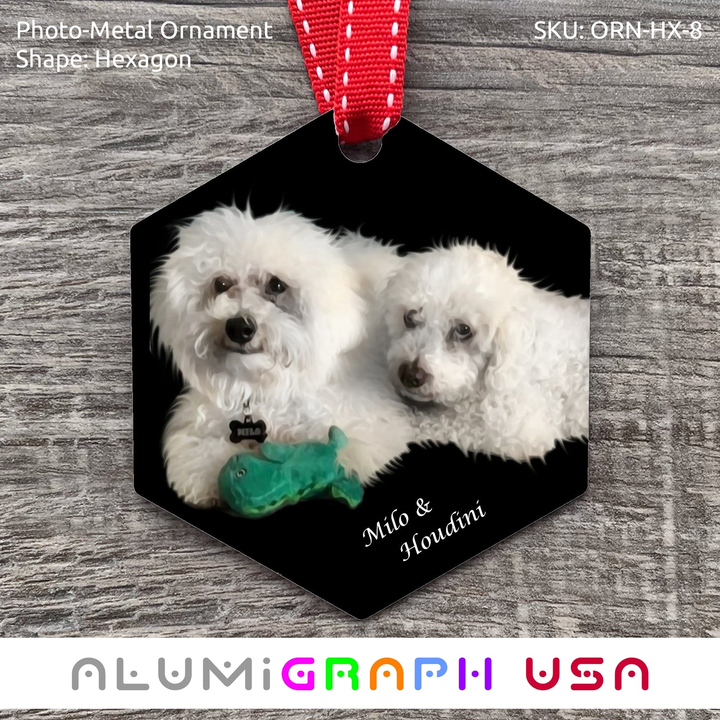 Hexagon Photo-Metal Ornament