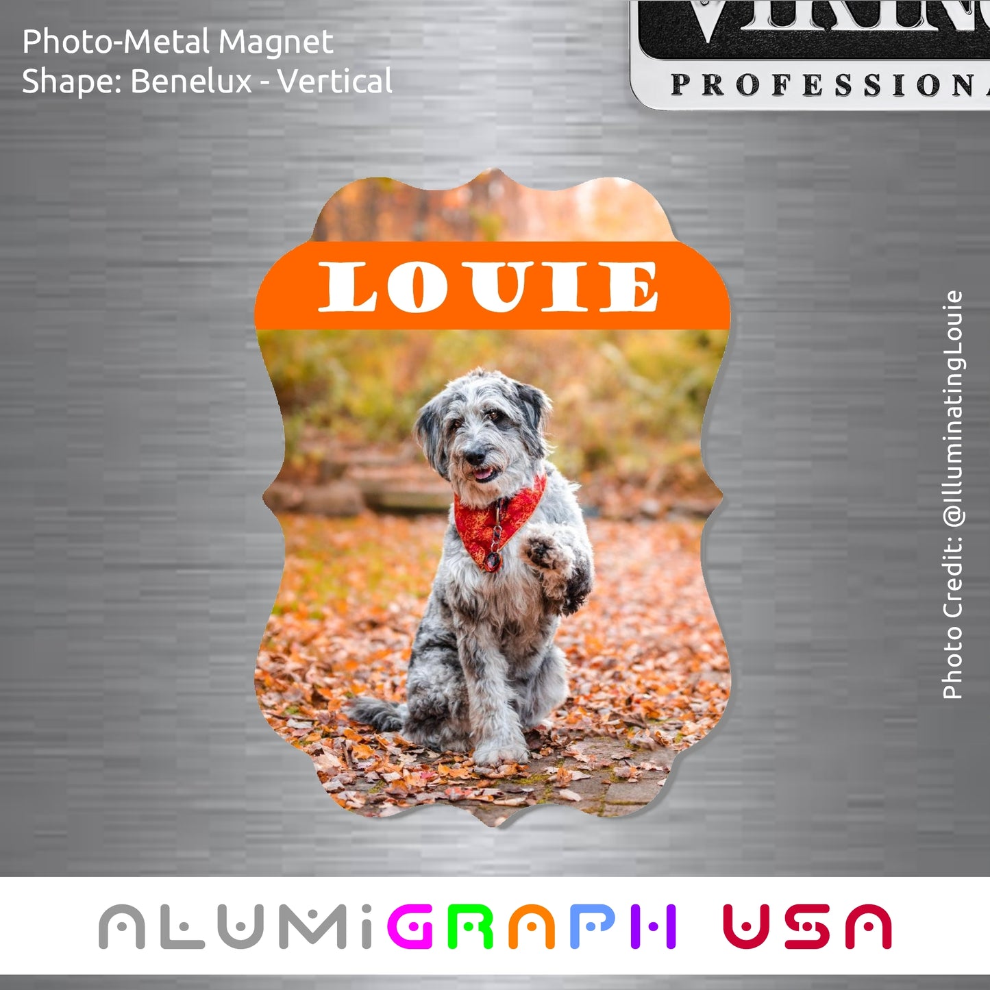 Benelux - Vertical Photo-Metal Magnet