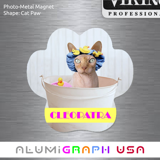 Cat Paw Photo-Metal Magnet