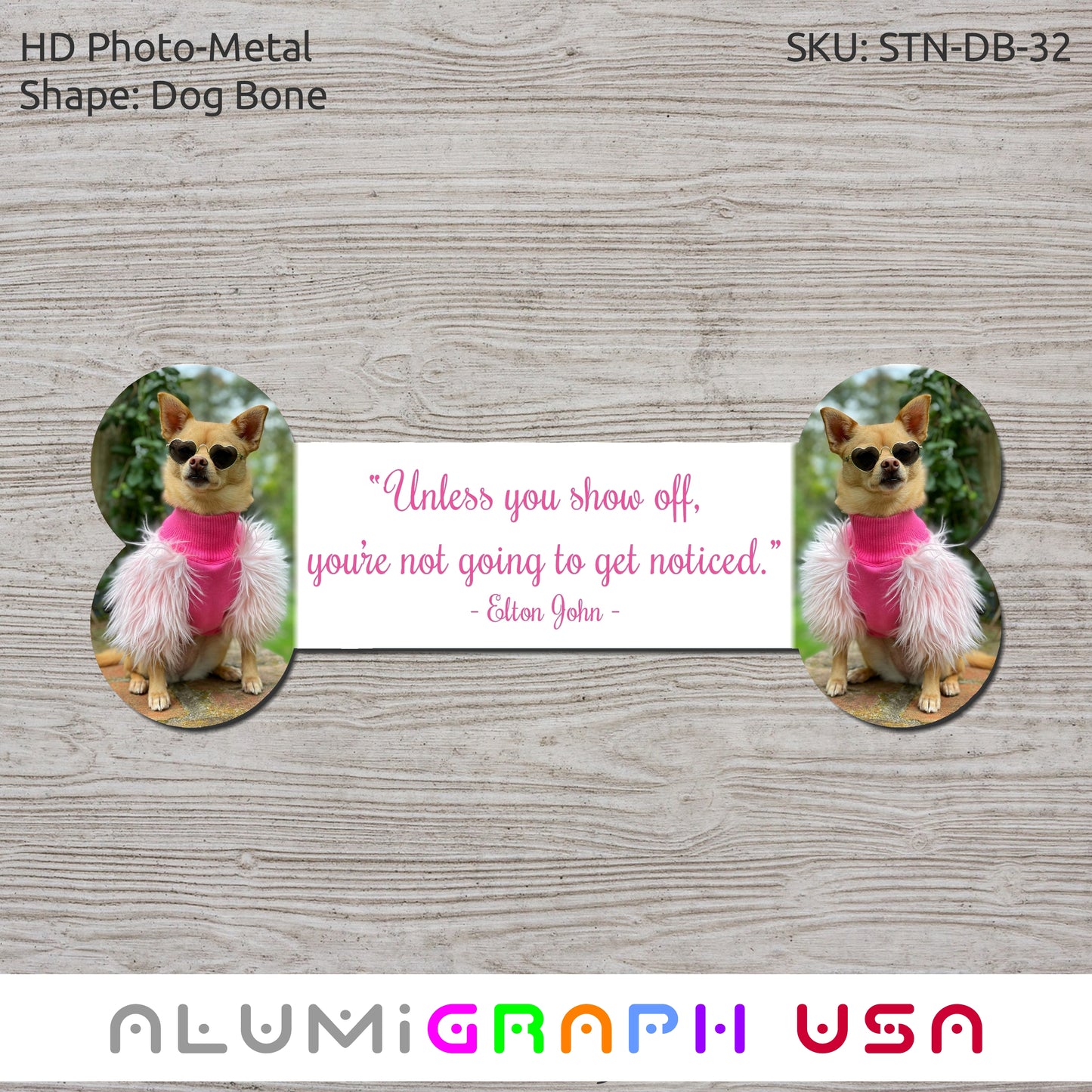 Novelty Photo-Metal Dog Bone