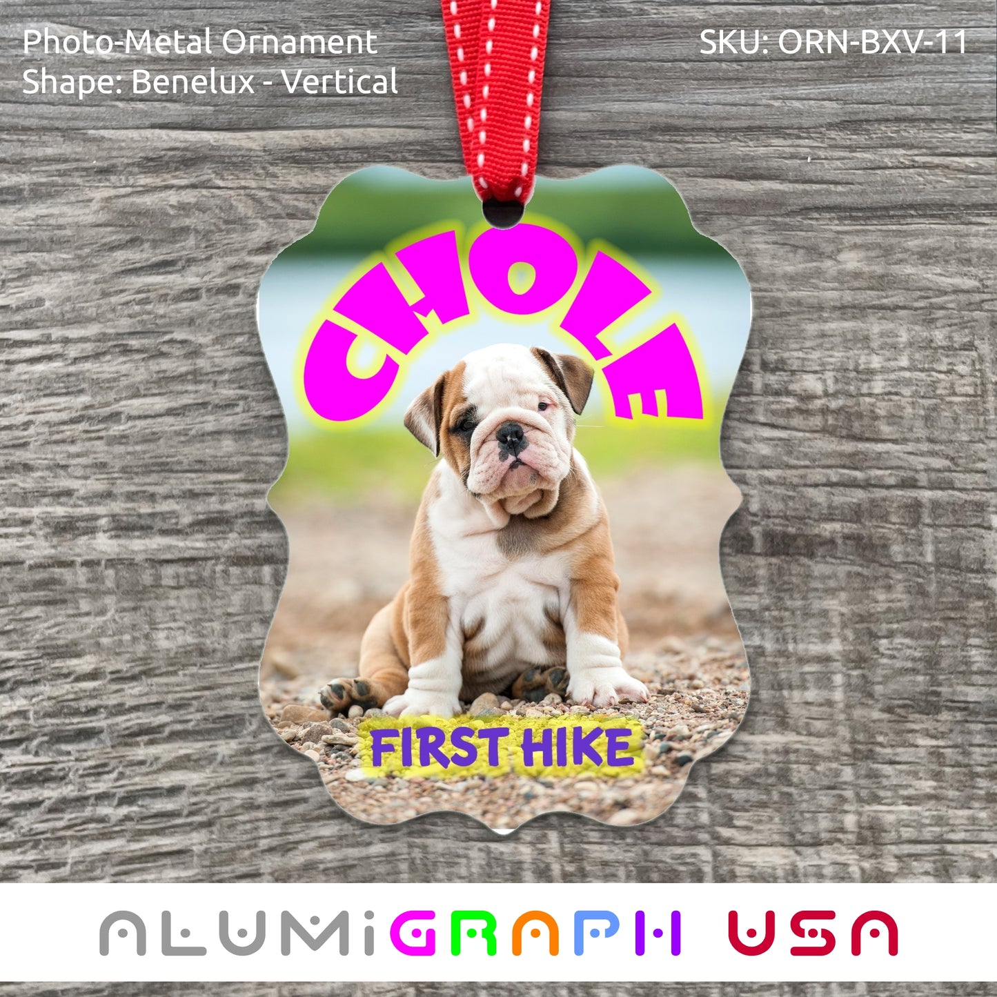 Benelux - Vertical Photo-Metal Ornament
